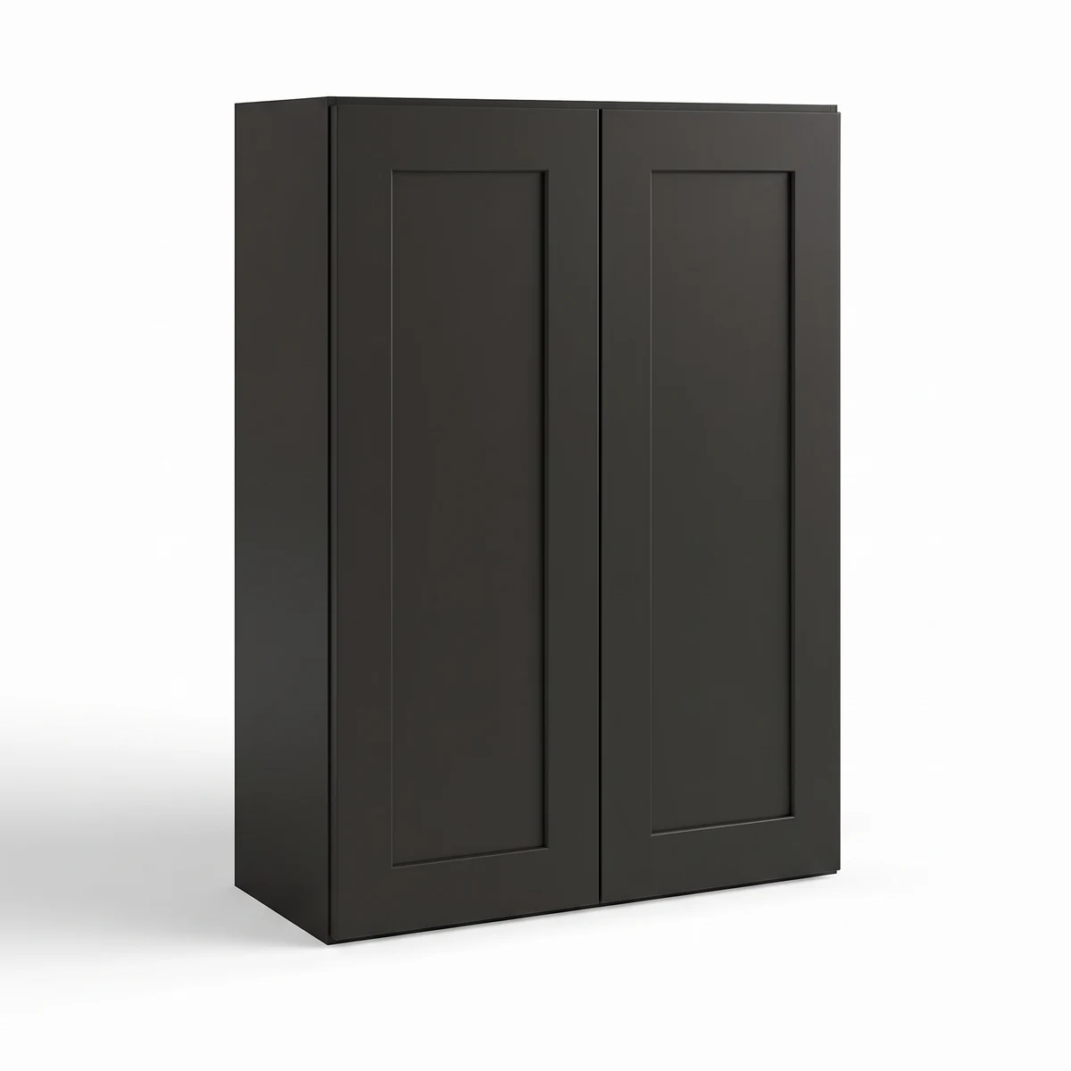 30″ H Double Door Wall Cabinet