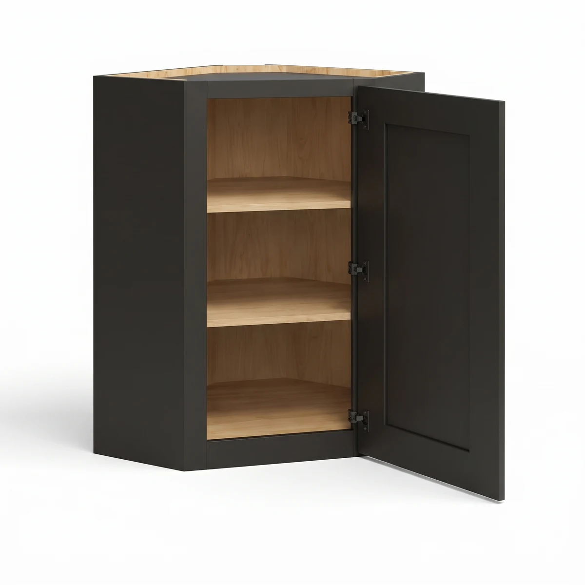 42" H Single Door Wall Cabinet — Black Shaker, open