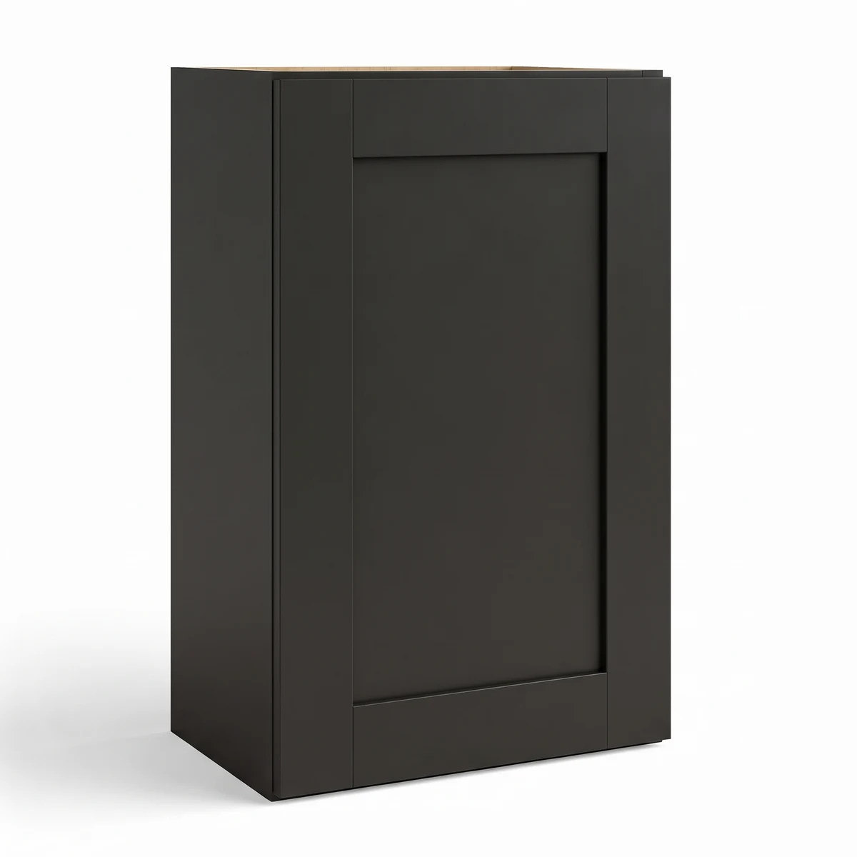 42″ H Single Door Wall Cabinet
