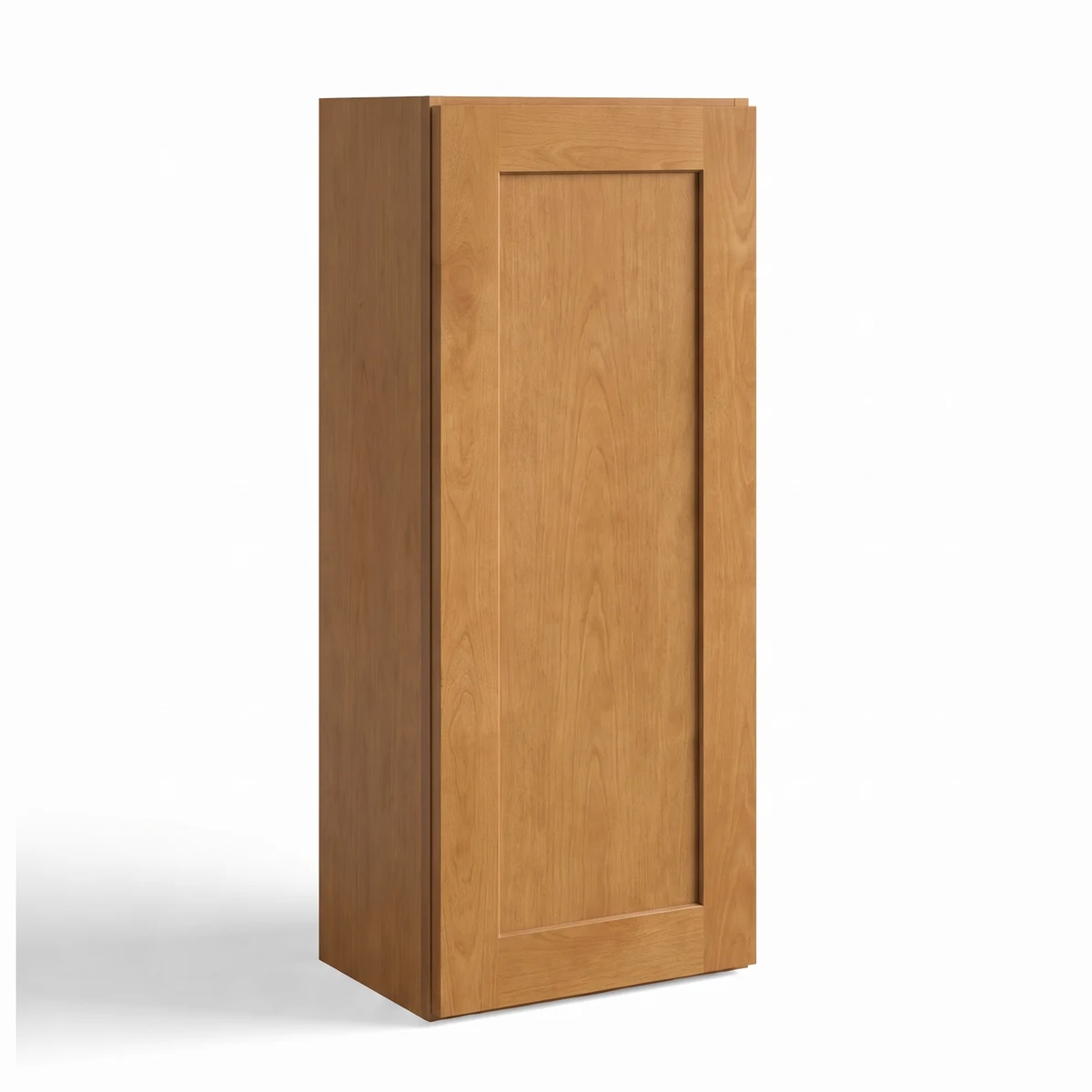 36″ H Single Door Wall Cabinet